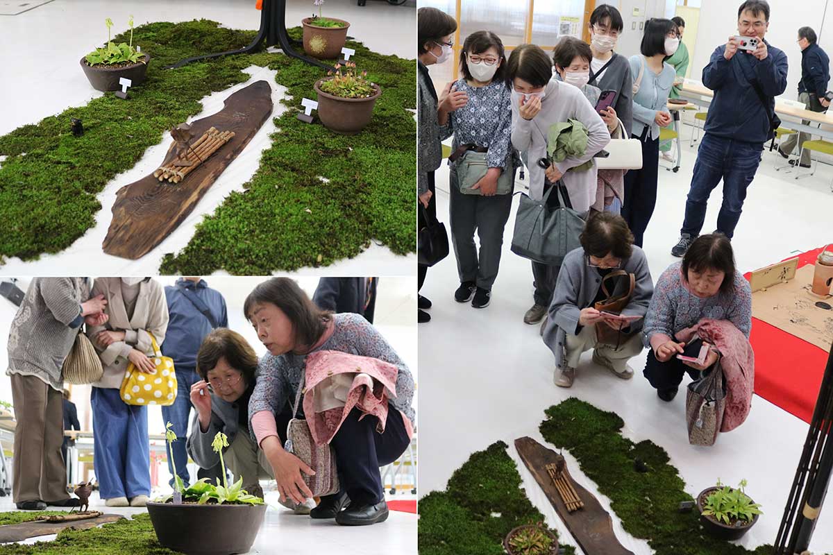 赤傘の下にはコケや早春の花で表現した山野の風景が広がる。味わいのある板の上には舟下りの置物も