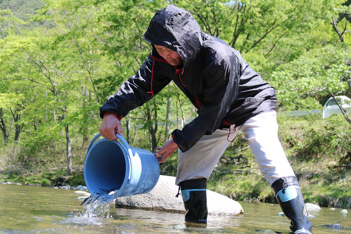 「元気に育て！」。鵜住居川へのアユの稚魚放流＝10日