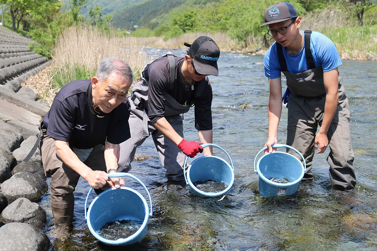 甲子川では甲子川鮎釣協力会の有志らが放流にあたった＝11日