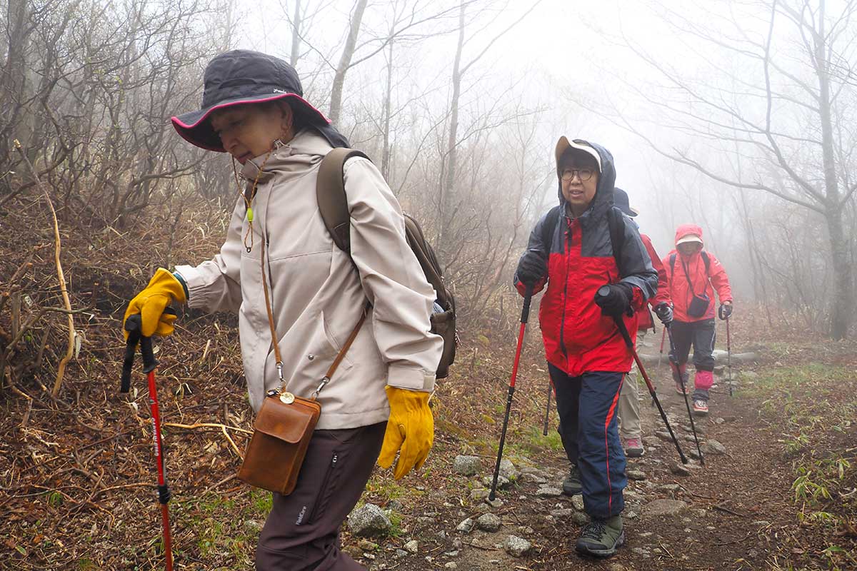 霧に包まれた五葉山。山頂を目指して歩を進める登山者