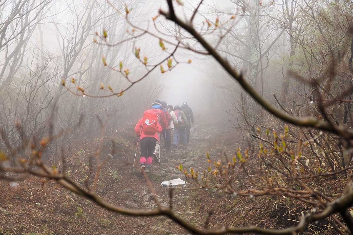 霧の中へ。登山を愛好する仲間とともに山頂へ向かう
