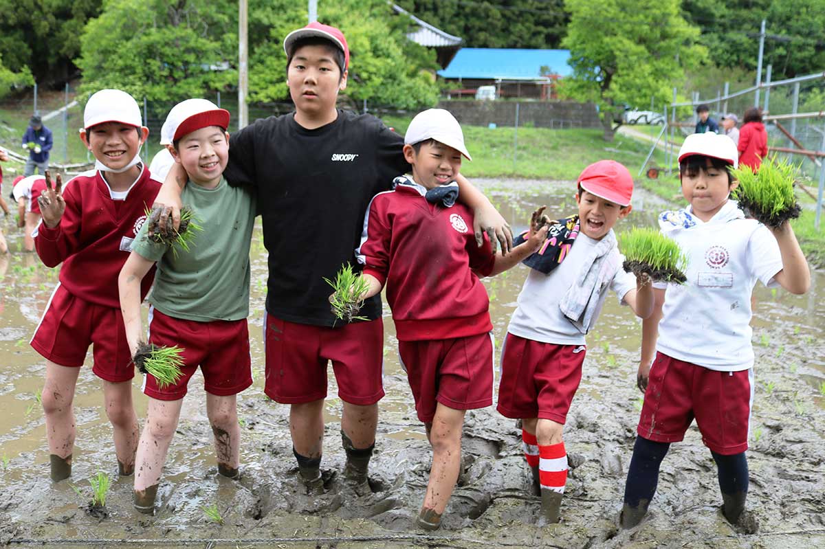 白山小伝統の稲作学習で田植えに挑戦した児童＝26日、上小川