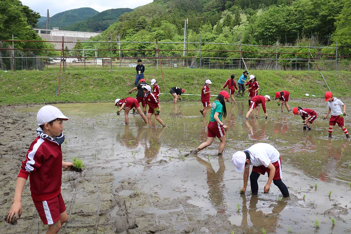 hakusantaue01