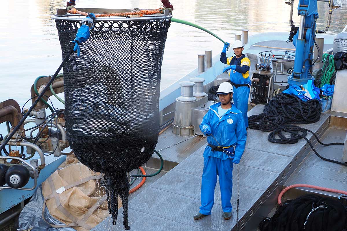 漁船から釜石市魚市場に水揚げする社員