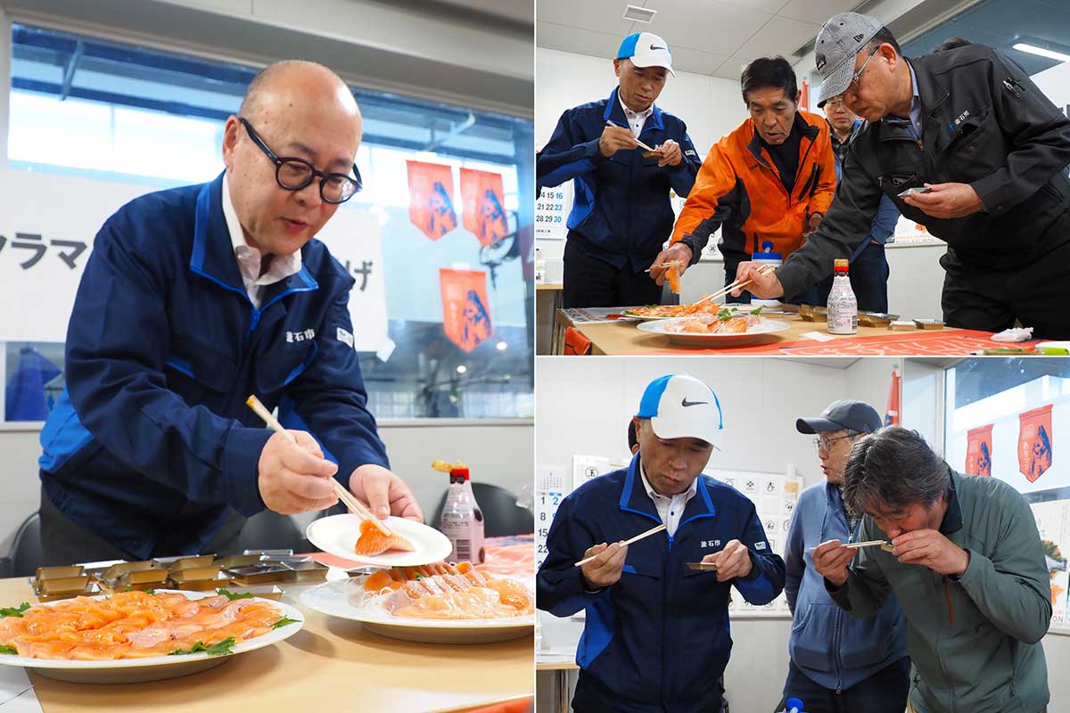 水揚げ後に開かれた養殖サクラマスの試食会。刺し身で味わう
