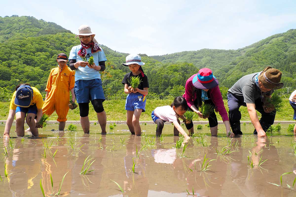 幅広い世代が集結。苗の手植えに挑戦した
