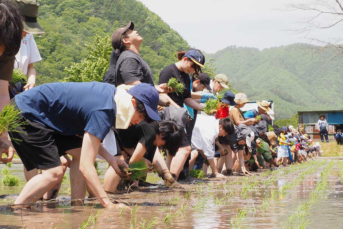 手植えの大変さを実感。ひと休みして腰の筋肉を伸ばしたり