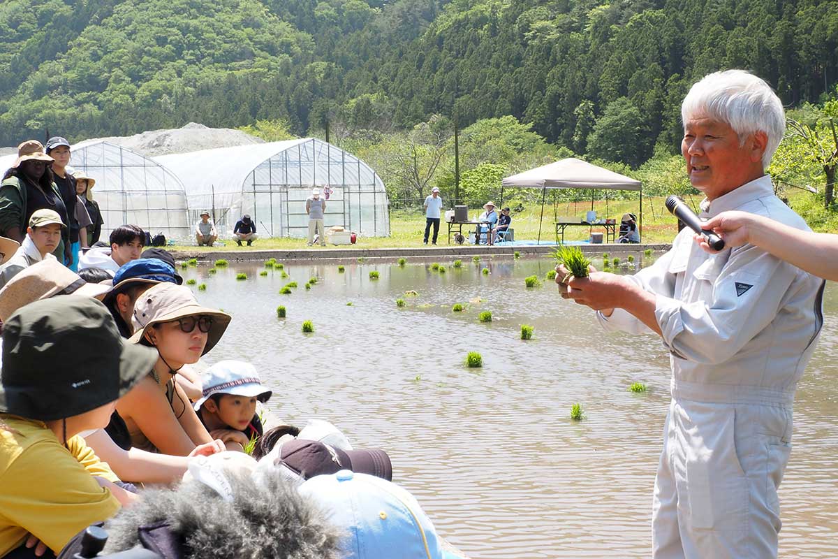 taue01