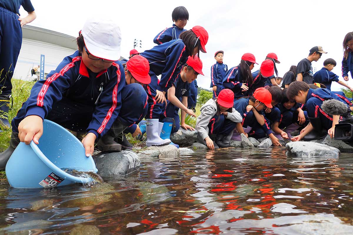 水中に放った稚魚の行方が気になる子どもたち