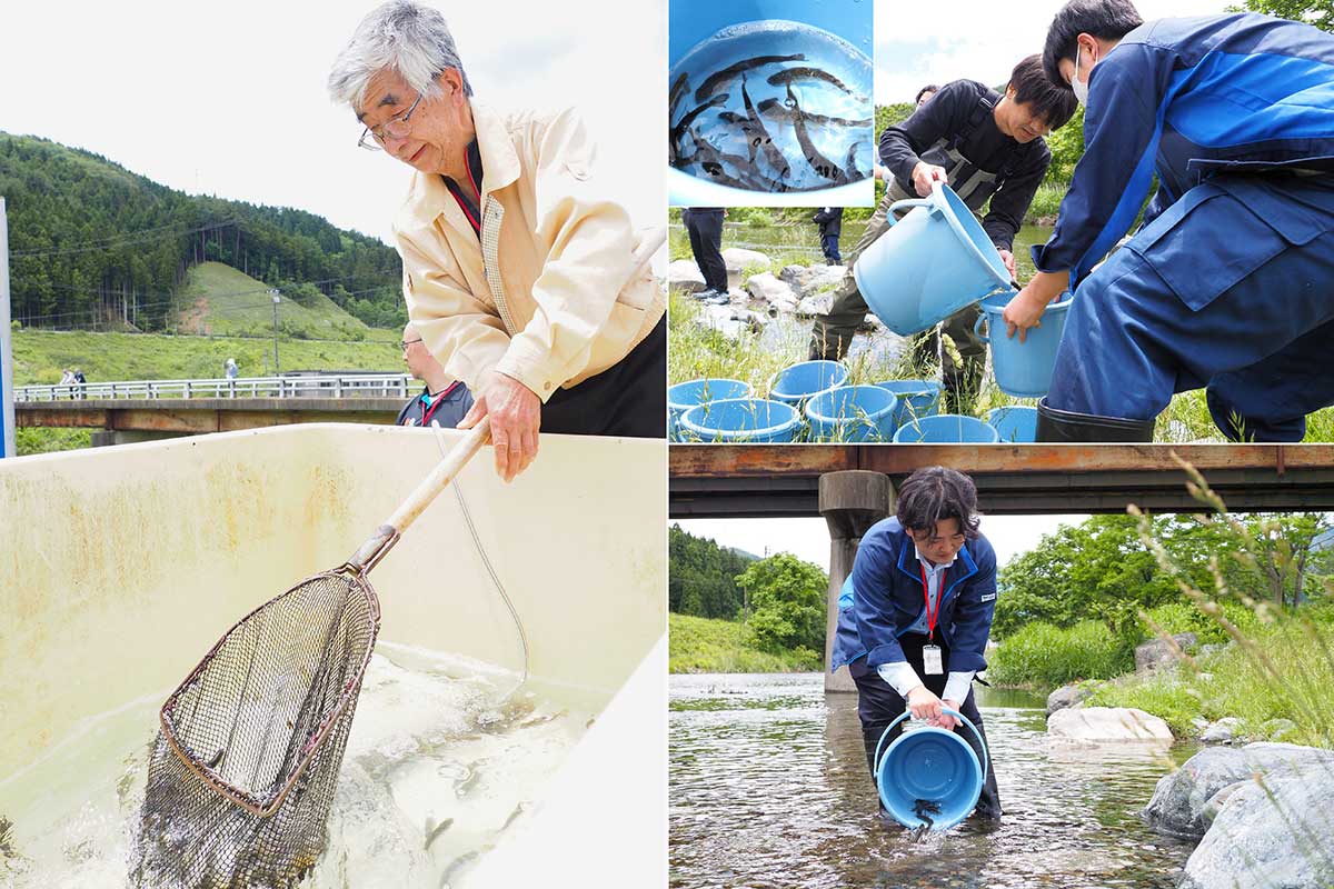 子どもの力も借りて稚魚を放流した地域の大人たち