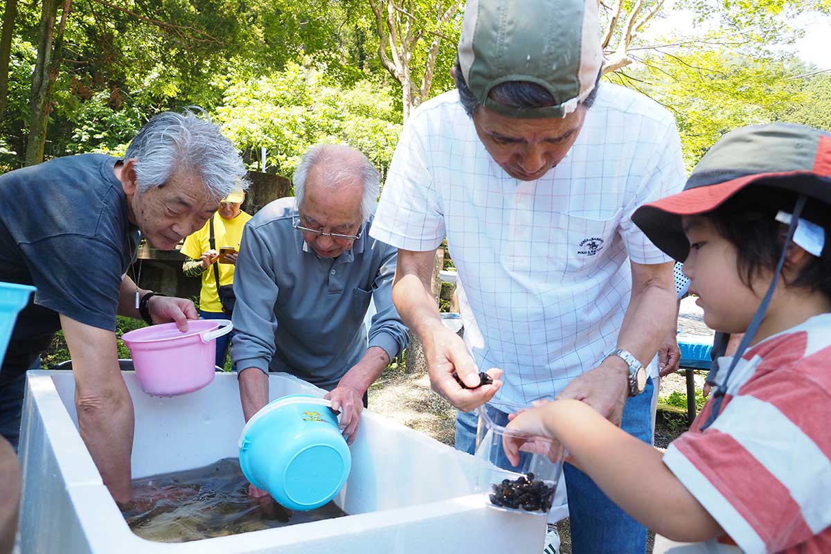 参加者は中小川町内会の会員からカワニナを分けてもらい放流の準備