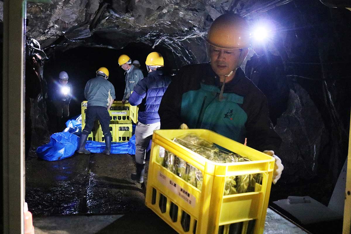 釜石鉱山の水で仕込んだ酒を5年間貯蔵のため坑道に運び入れる浜千鳥の社員ら＝6月16日