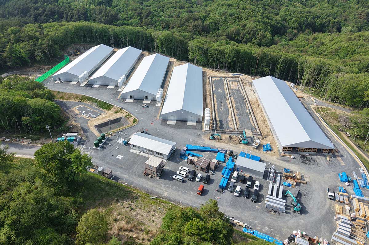上空から見た「和山ファーム」の敷地。（左上から）鶏舎6棟を配置。右側2棟（5、6号棟）は建設中＝写真提供：千葉建設