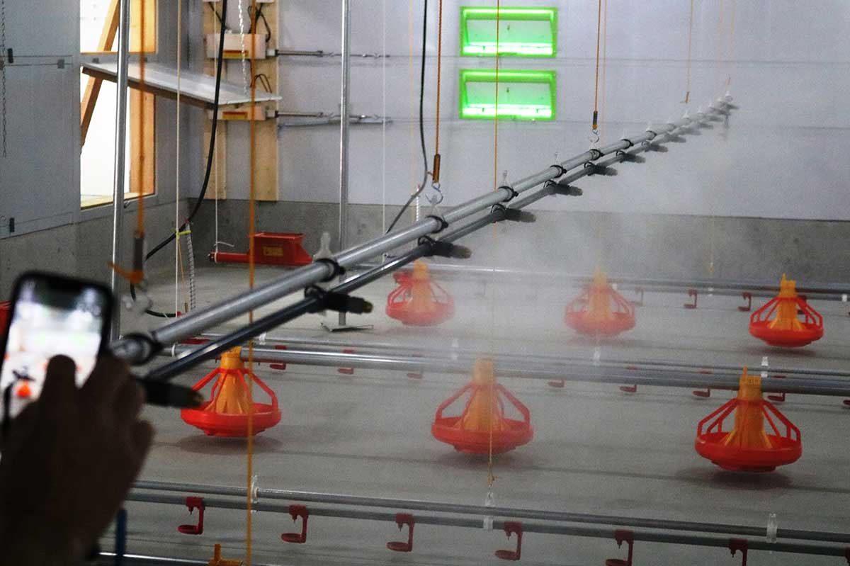 夏場の暑さ対策のためのミスト噴霧装置。鶏の体感温度を下げ、ヒートストレス軽減