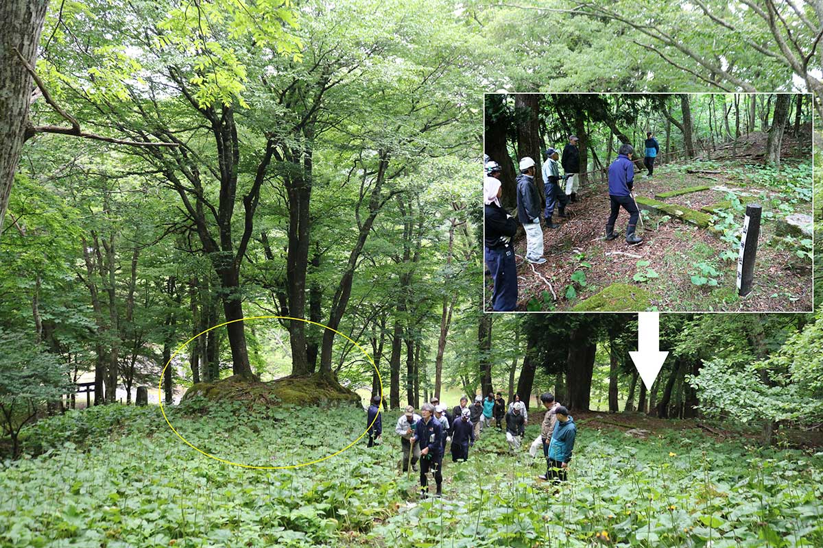 山神社跡（白枠矢印）、石割桜（黄丸）の場所からさらに上っていくと…