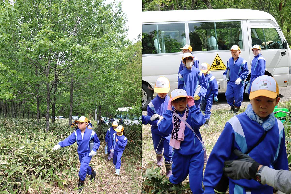 スクールバスで植樹場所の和山へ。入り口付近には過去に先輩たちが植えた木が大きく育つ（左）