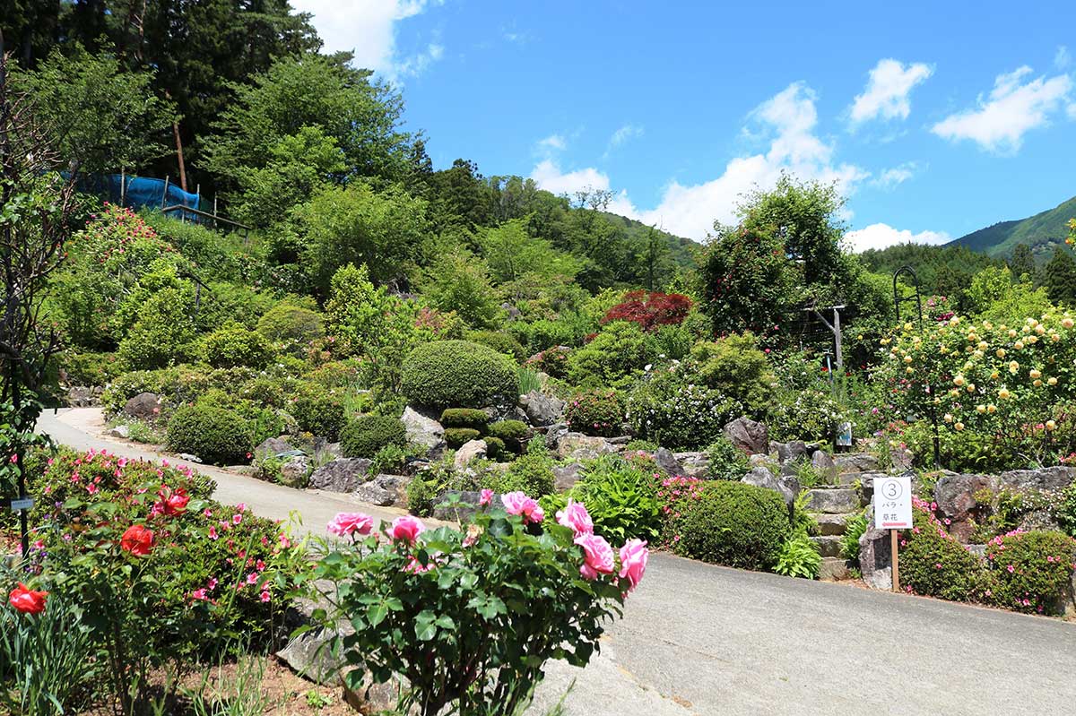 見晴らし台まで続く遊歩道のほか、植え込み内に整備された小道を通ってさまざまな植物を観賞できる園内