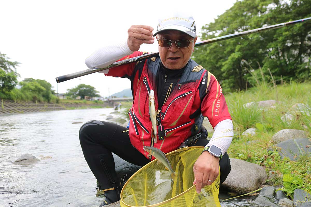 開始2時間で10匹以上。解禁日としては大きめサイズのアユが釣れた