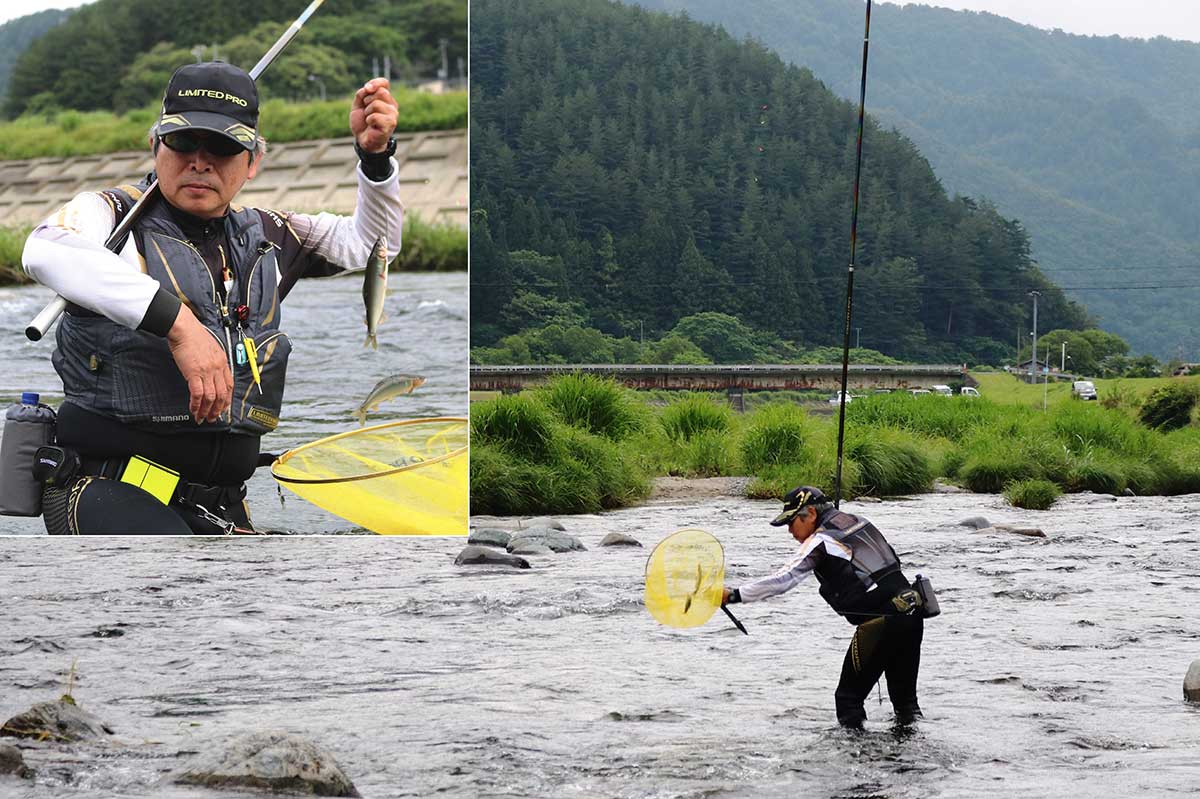 道々橋下流で竿を出した人たちはかなりの釣果。型のいいアユがかかった