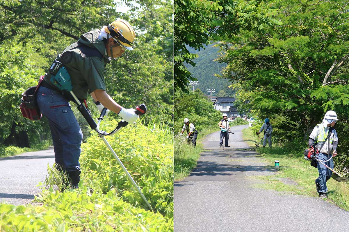 道幅が狭い市道の安全確保へ。視界を良くすることはクマ被害対策にもつながる
