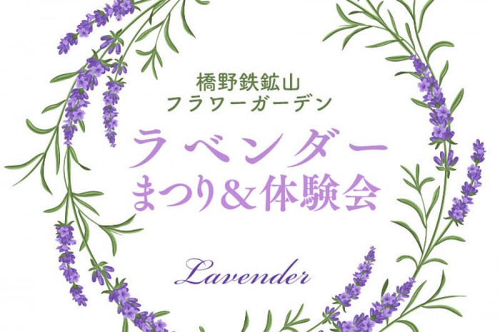 thum_hashino_lavender