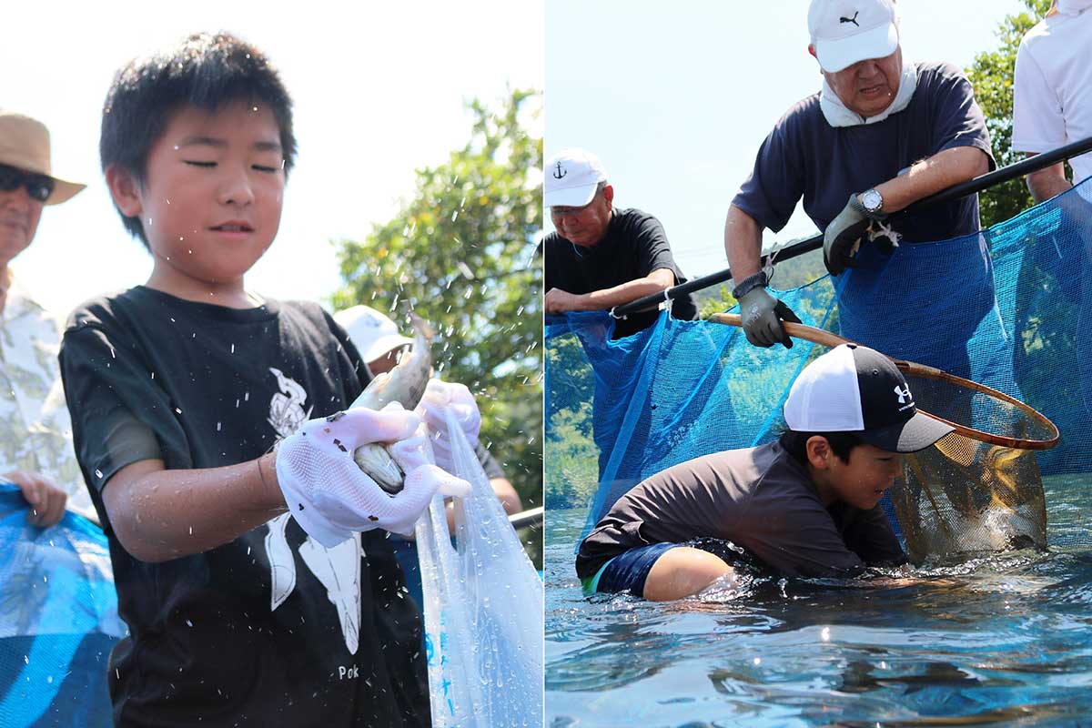 太ももまで水に漬かり、魚の様子をうかがう（写真右）。生きのいい魚におっかなびっくり。逃がさないように袋の中へ（同左）