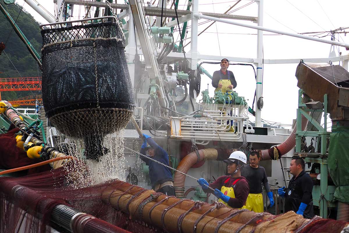 水揚げ作業を進める第八珠の浦丸の乗組員