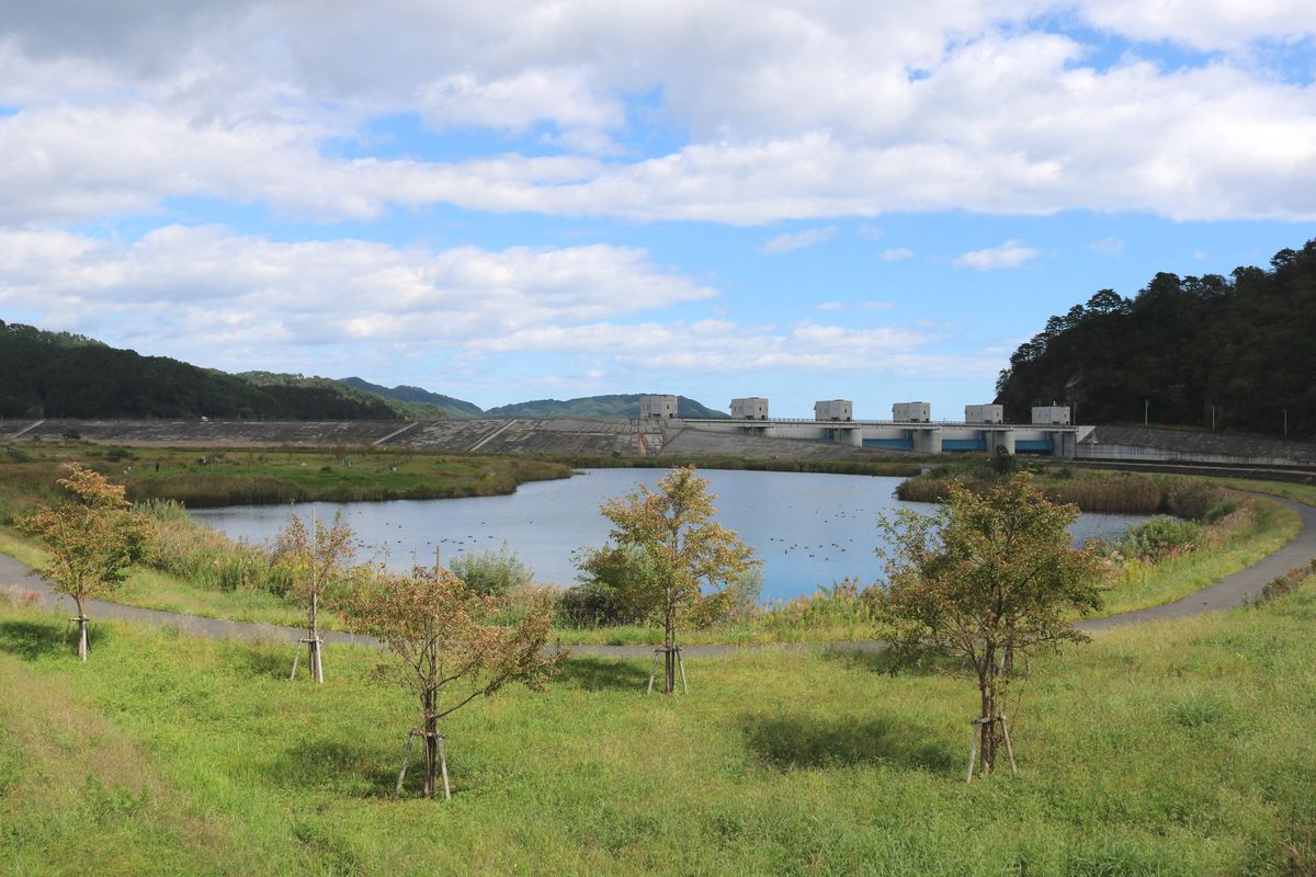 6月に国の「自然共生サイト」に認定された片岸公園。池の周りに遊歩道が整備され、市民の散歩コースにもなっている